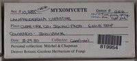 Image Associated With the Occurence